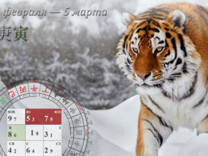 Прогноз по Летящим звездам на февраль 2026