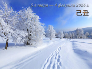 Прогноз на январь 2026