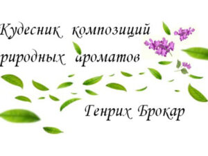 Метод Энергетических ритмов Ци и ароматы времени. Кейс создателя «Красной Москвы»