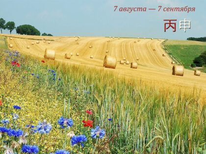 Прогноз на август 2026