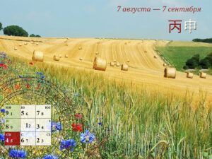 Летящие звезды в августе 2026