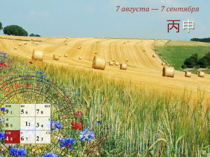 Летящие звезды в августе 2026