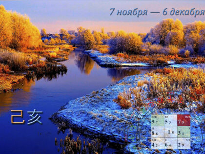 Прогноз по Летящим звездам ноябрь 2026